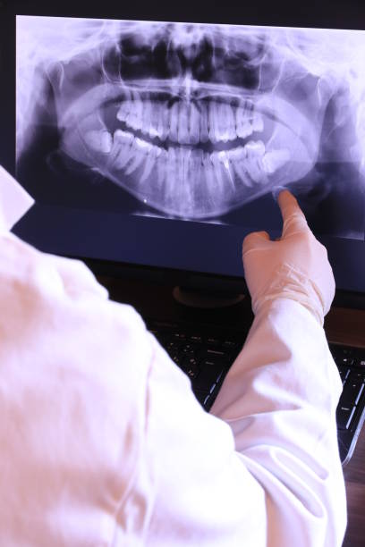 Best Emergency X-Rays and Diagnostics in Pine Level, AL